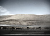tracy_california_Sm.jpg
